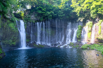 Fototapeta na wymiar 富士宮市 白糸の滝