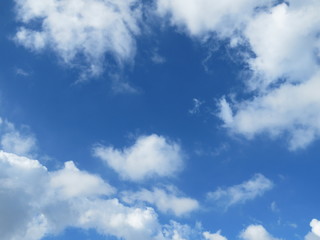 Fototapeta premium 夏の雲