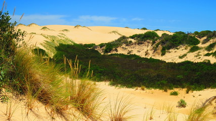 coorong national park, australia