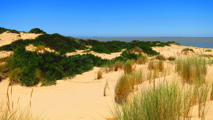 coorong national park, australia