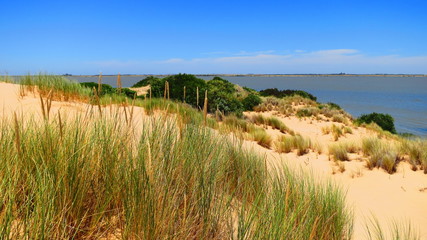 coorong national park, australia