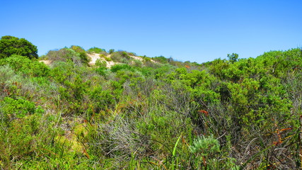 coorong national park, australia