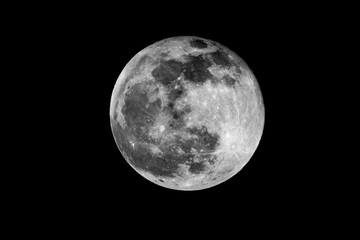 Fototapeta premium moon