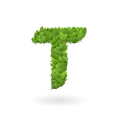 Obraz premium T letter of vector nature green eco leaves