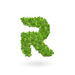 R letter of vector nature green eco leaves