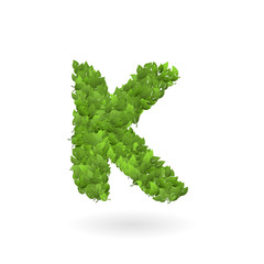 K letter of vector nature green eco leaves