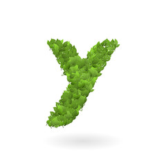 Y letter of vector nature green eco leaves