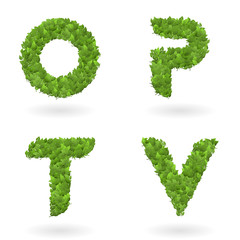 letter of vector nature green eco leaves