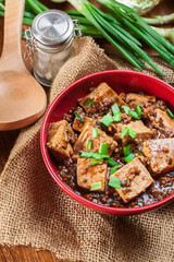 Mapo Tofu - sichuan spicy dish