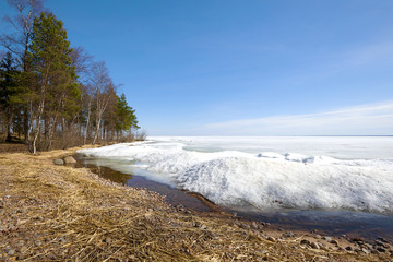 Shore of Ladoga lake, Sunny April day. Leningrad region, Russia