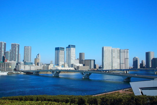 High-rise buildings of Harumi-futo from Toyosu-futo of Toyosu market (JAPAN) 豊洲市場の豊洲ふ頭から晴海ふ頭の高層ビル群を撮影