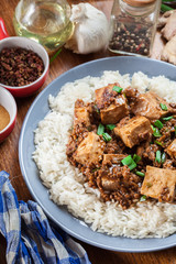 Mapo Tofu - sichuan spicy dish served with rice