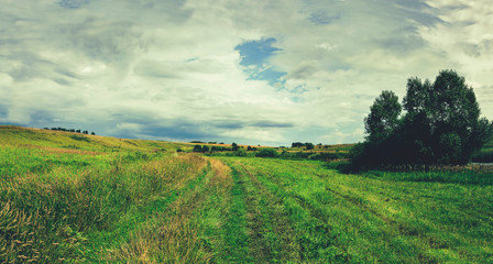 Cloudy summer panoramic landscape with dirt country road,fields,meadows and trees.Dark stormy clouds in dramatic overcast sky.Rainy season.