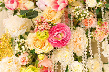 beautiful rose flower