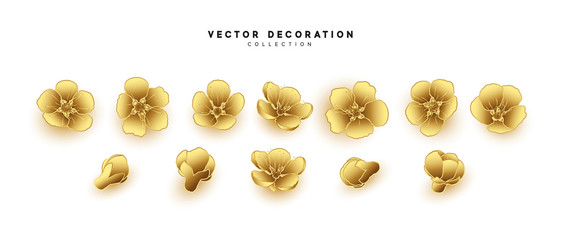 Flower blossom sakura. Design of realistic floral buds isolated on white background