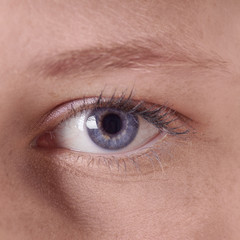 Fototapeta na wymiar close-up of a human female blue eye