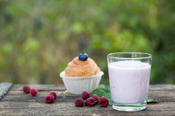 Natural yogurt with fresh berries and muffins. copy space.