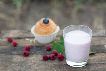 Natural yogurt with fresh berries and muffins. copy space.