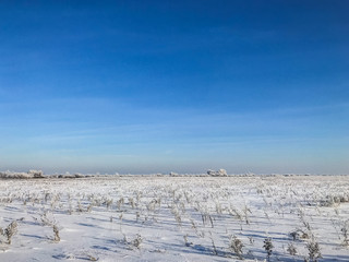 A small forest under the sky and foot step on the white shiny snow. animal tracks. A bush of trees cast big shadow on the snowy ground with light from the sun shining onto the earth. Beautiful nature