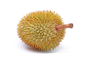 Durian the famous fruit from Thailand, it also known as The King of Fruits. Durian (Salika or Saliga , best of Southern Thai durian) isolated on white background.