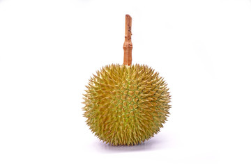Durian the famous fruit from Thailand, it also known as The King of Fruits. Durian (Salika or Saliga , best of Southern Thai durian) isolated on white background.