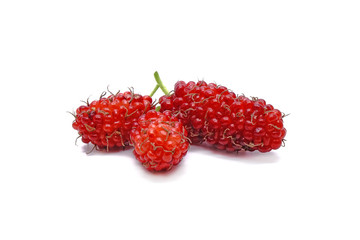 Mulberry fruit : Red mulberry isolated on white background.