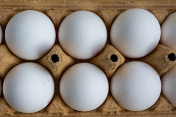 Organic white chicken eggs for food in carton box