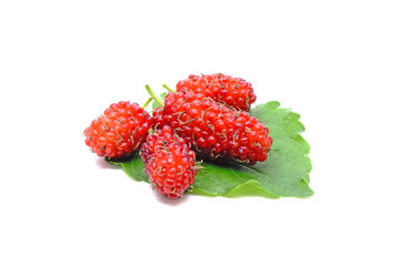 Mulberry fruit : Red mulberry with green leaves isolated on white background.