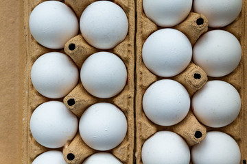 Organic white chicken eggs for food in carton box