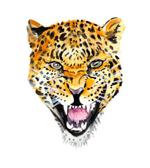 Watercolor head leopard print illustration.