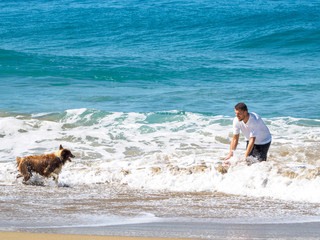 A man plays with a dog on the beach of the ocean. Sunny day and big waves.
