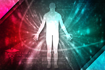 Fototapeta na wymiar 2d illustration Human Male Muscle Body