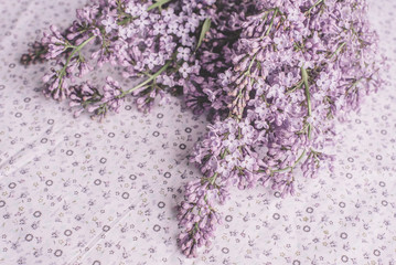 Spring flowers. Lilac flowers petals on white fabric background. Top view, flat lay