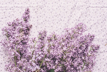 Fototapeta premium Spring flowers. Lilac flowers petals on white fabric background. Top view, flat lay