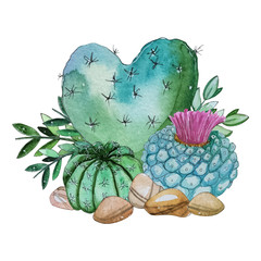 Watercolor handpainted cactus plant composition
