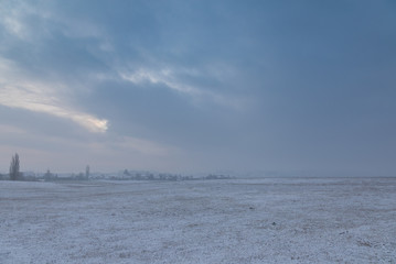 Winter. Cold. Morning. Snow. Field