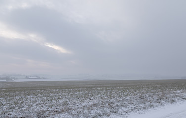 Obraz premium Winter. Morning. Field. Snow. Cold