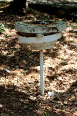 Broken and destroyed rusted small street lamp in shade of trees next to forest path surrounded with dry fallen leaves and trees in background