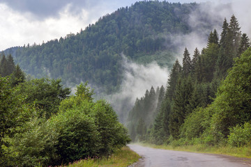 Bend of a mountain road in a foggy forest