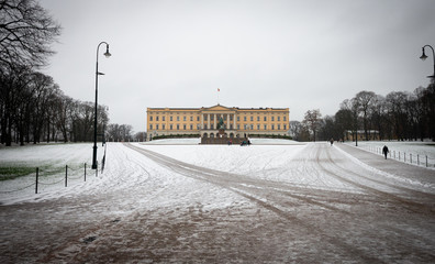 Oslo / Norway - November 29 2018 : Tourist are travel to visit at the Royal Palace in the winter