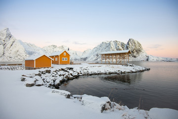 Yellow fishing rorbuer builded from wood and scaffolding dried fish in Reine village at Lofoten Norway