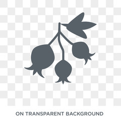 Hawthorn icon. Trendy flat vector Hawthorn icon on transparent background from nature collection. High quality filled Hawthorn symbol use for web and mobile