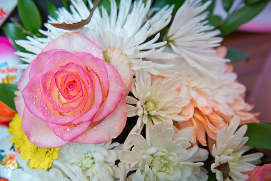 Bouquet of flowers roses gerbera flowers carnations . Roses, gerbera and other flowers arranged as a colorful natural background image with white, yellow and pink blossoms - Image