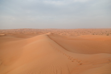 Fototapeta na wymiar Desert Background Landscape