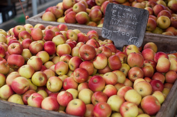 closeup of red apples stack at the market
