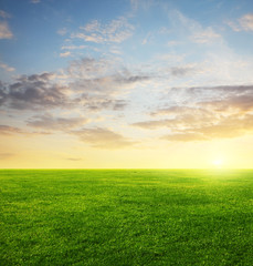 Fototapeta na wymiar Image of green grass field and evening cloudy sky