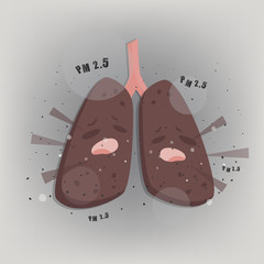 Terrible lung with Air pollution PM2.5.