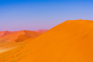 Fototapeta na wymiar Men observed sand desert