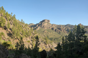 gran canaria