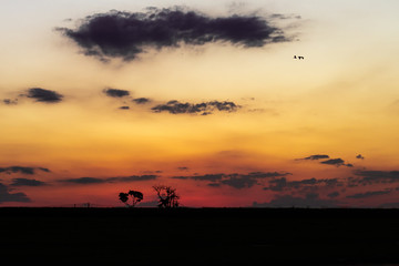 Obraz na płótnie Canvas End of the day - sunset